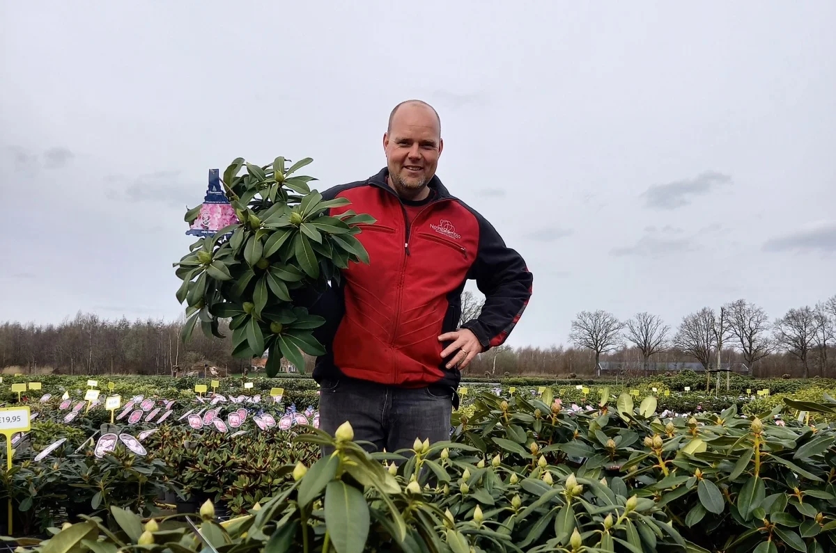 erwin adams specialist in rhododendrons