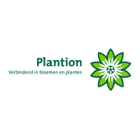 Plantion