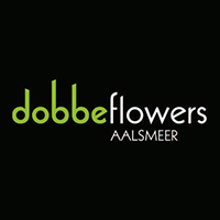 Dobbeflowers BV