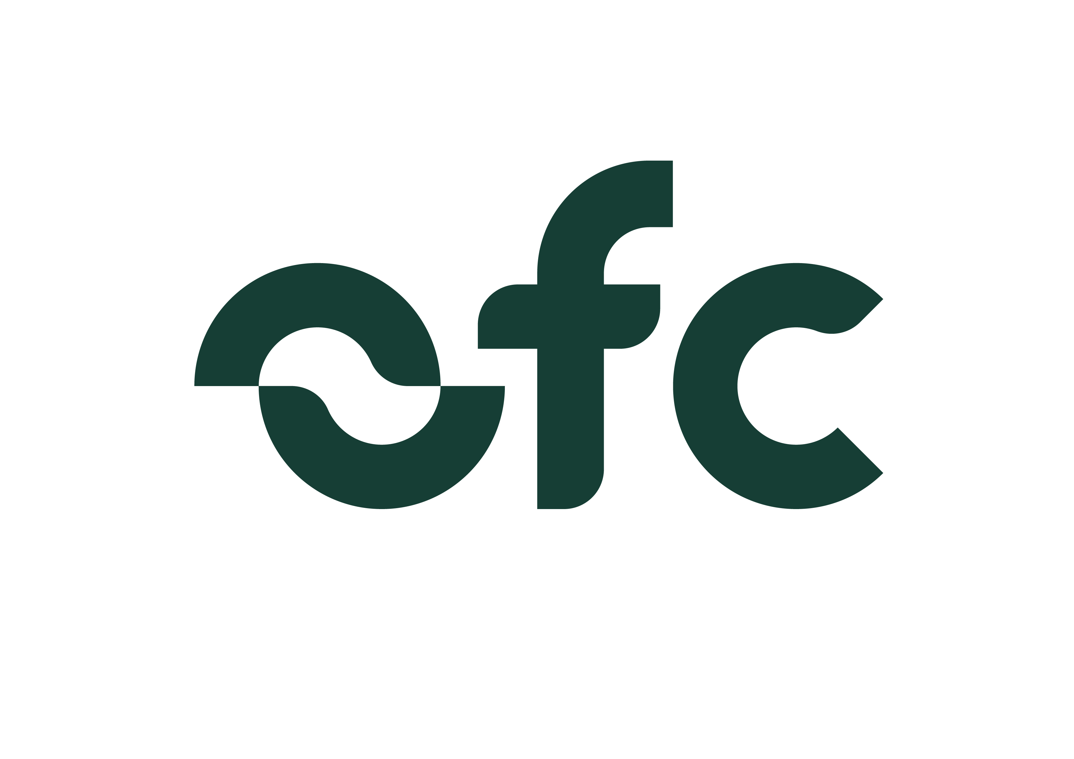 Organic Flavour Company