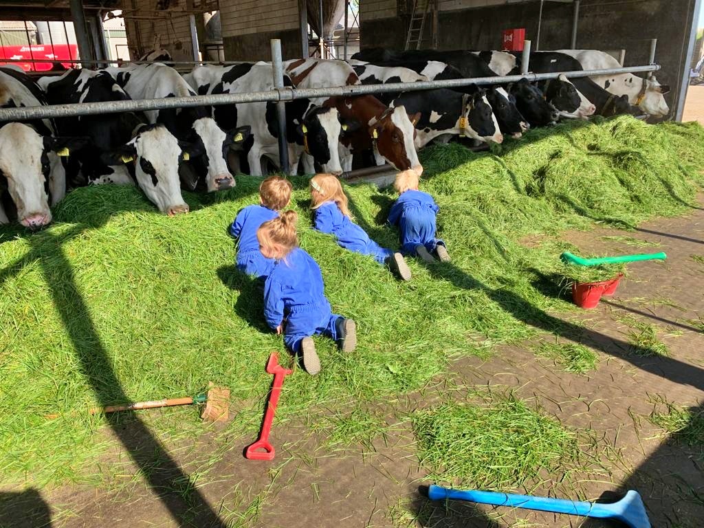 Kinderen spelen op kinderopvang bij boerderij