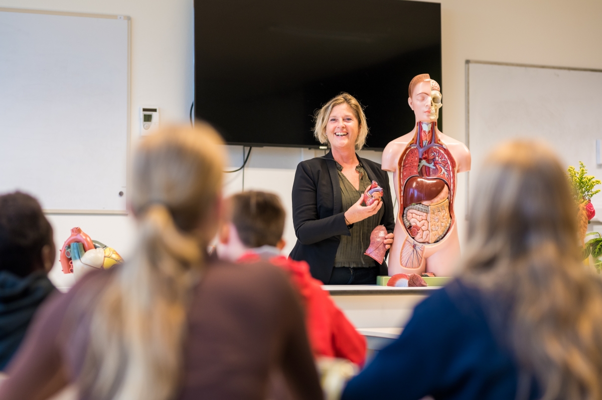 Werken in het onderwijs